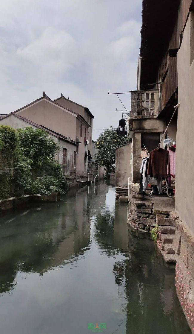 探索“陈浩南”郑伊健曾经比刘德华还红,为什么现在却不怎么出现在大众眼前了?的红迪网平台